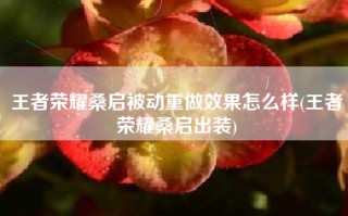 王者荣耀桑启被动重做效果怎么样(王者荣耀桑启出装)