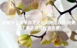 跑跑卡丁车手游龙之运河跑法攻略(跑跑卡丁车手游龙骨流金翼)