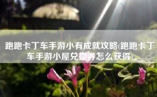跑跑卡丁车手游小有成就攻略(跑跑卡丁车手游小屋兑换券怎么获得)