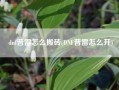 dnf普雷怎么搬砖(DNF普雷怎么开)