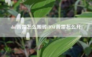 dnf普雷怎么搬砖(DNF普雷怎么开)