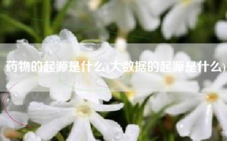 药物的起源是什么(大数据的起源是什么)