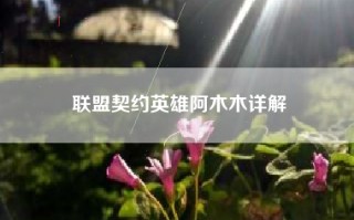 联盟契约英雄阿木木详解