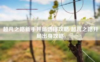 超凡之路新手开局选择攻略(超凡之路开局出身攻略)