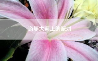 游艇大海上的派对