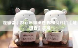 楚留香手游新区哪里看,你如何评价《楚留香》手游