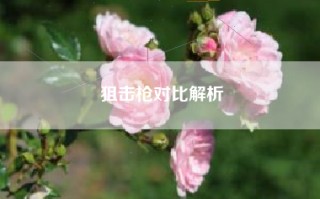 狙击枪对比解析