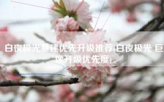 白夜极光基建优先升级推荐(白夜极光 巨像升级优先度)