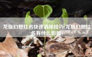 龙族幻想红名快速消除技巧(龙族幻想红名有什么影响)