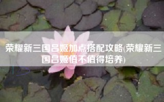 荣耀新三国吕姬加点搭配攻略(荣耀新三国吕姬值不值得培养)