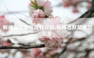 解神者默契度提升攻略(解神者默契度怎么看)