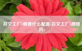 符文工厂5需要什么配置(符文工厂5感冒药)