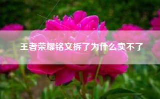 王者荣耀铭文拆了为什么卖不了