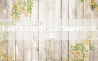 纯肉铭文王者荣耀_王者荣耀纯肉铭文怎么配