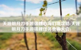 天涯明月刀手游锦鲤心海幻境攻略(天涯明月刀手游锦鲤任务食神大会)