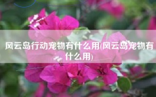 风云岛行动宠物有什么用(风云岛宠物有什么用)