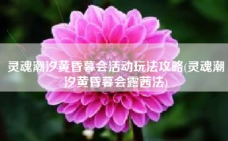 灵魂潮汐黄昏暮会活动玩法攻略(灵魂潮汐黄昏暮会露茜法)