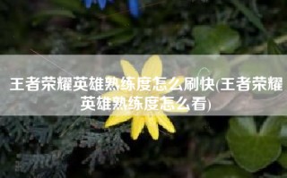 王者荣耀英雄熟练度怎么刷快(王者荣耀英雄熟练度怎么看)