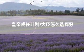 皇帝成长计划2大臣怎么选择好