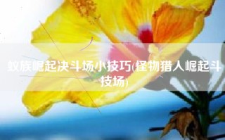 蚁族崛起决斗场小技巧(怪物猎人崛起斗技场)