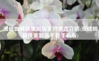 漫威蜘蛛侠重制版支持语言介绍(漫威蜘蛛侠重制版下载手机版)