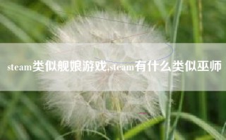 steam类似舰娘游戏,steam有什么类似巫师