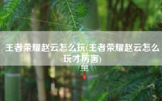 王者荣耀赵云怎么玩(王者荣耀赵云怎么玩才厉害)