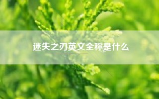 迷失之刃英文全称是什么