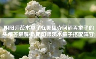 阴阳师茨木童子在哪里夺回酒吞童子的头颅答案解析(阴阳师茨木童子搭配阵容)