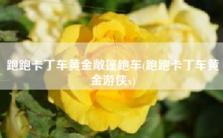 跑跑卡丁车黄金敞篷跑车(跑跑卡丁车黄金游侠x)