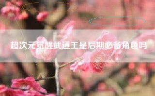 超次元觉醒武道王是后期必备角色吗