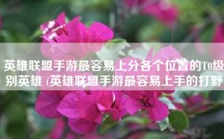 英雄联盟手游最容易上分各个位置的T0级别英雄 (英雄联盟手游最容易上手的打野)