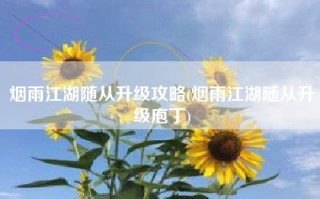 烟雨江湖随从升级攻略(烟雨江湖随从升级庖丁)