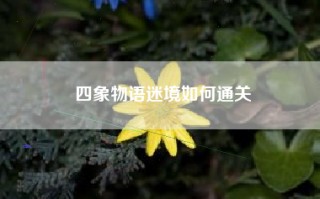 四象物语迷境如何通关