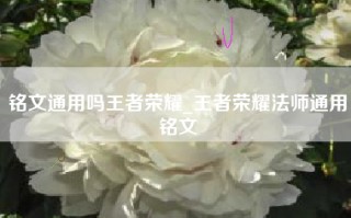 铭文通用吗王者荣耀_王者荣耀法师通用铭文