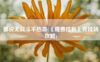 都说无战斗不热血(《魔兽挂机》竞技场攻略)