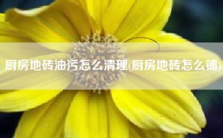 厨房地砖油污怎么清理(厨房地砖怎么铺)