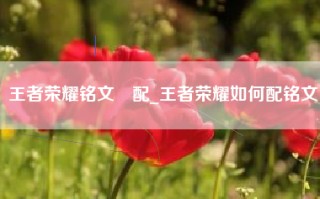 王者荣耀铭文撘配_王者荣耀如何配铭文