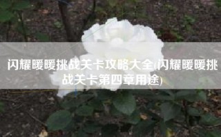闪耀暖暖挑战关卡攻略大全(闪耀暖暖挑战关卡第四章用途)