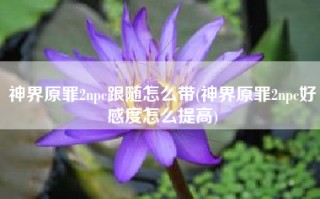 神界原罪2npc跟随怎么带(神界原罪2npc好感度怎么提高)