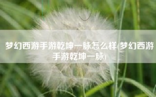 梦幻西游手游乾坤一脉怎么样(梦幻西游手游乾坤一脉)