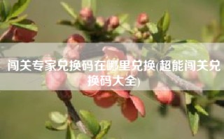 闯关专家兑换码在哪里兑换(超能闯关兑换码大全)