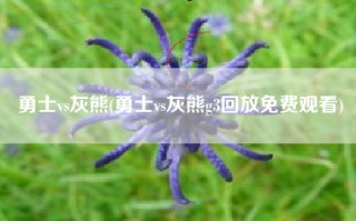 勇士vs灰熊(勇士vs灰熊g3回放免费观看)