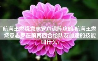 航海王燃烧意志罗六魂阵攻略(航海王燃烧意志罗在前两回合给队友加速的技能叫什么)