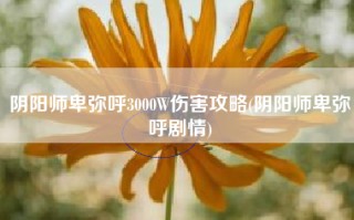 阴阳师卑弥呼3000W伤害攻略(阴阳师卑弥呼剧情)