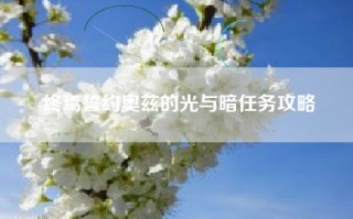 终焉誓约奥兹的光与暗任务攻略