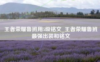 王者荣耀鲁班用5级铭文_王者荣耀鲁班最强出装和铭文