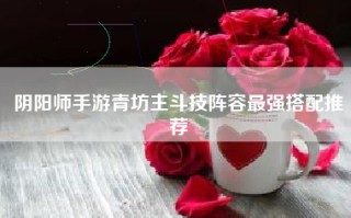 阴阳师手游青坊主斗技阵容最强搭配推荐