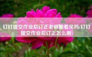 钉钉提交作业后订正老师能看见吗(钉钉提交作业后订正怎么删)