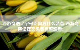 西游奇遇记宁采臣需要什么装备(西游奇遇记综艺免费完整观看)